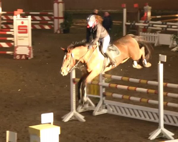 Late-Entry Hamm-Rhynern 2015