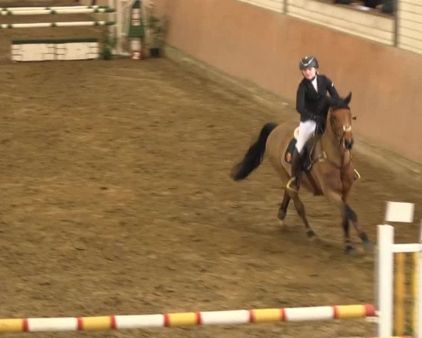 Late-Entry Hamm-Rhynern 2015