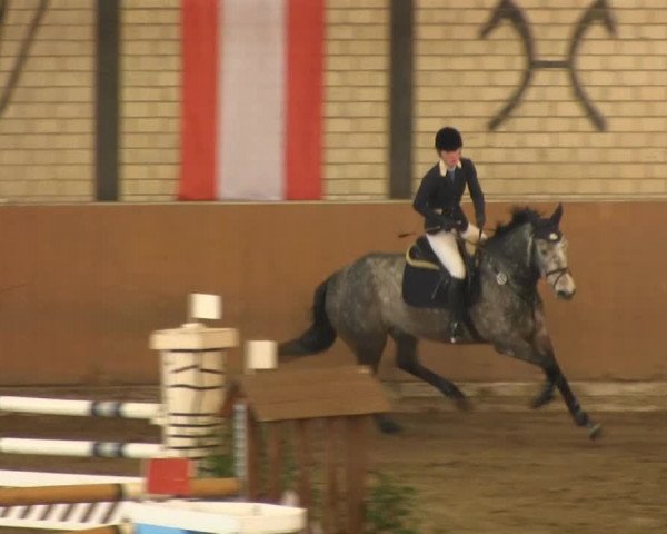 Late-Entry Hamm-Rhynern 2015