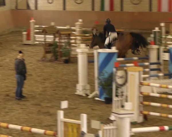 Late-Entry Hamm-Rhynern 2015