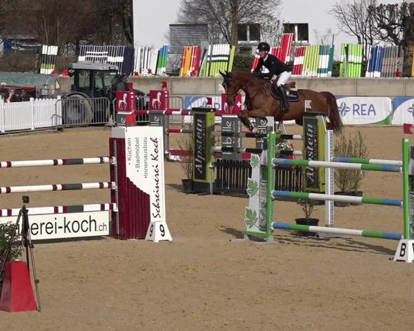 Tournoi Équestre Amriswil 2026