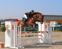 jumper Kanon EBH (anglo european sporthorse, 2015, from Furiel)