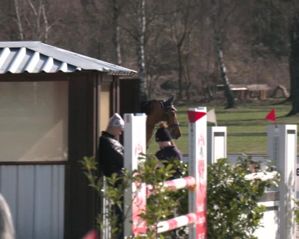 Rideturnering Westergellersen 2026