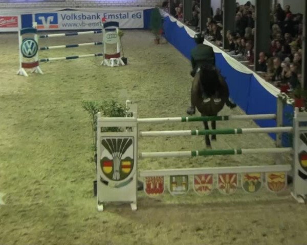 Spring-Pferde-Festival Lathen 2015