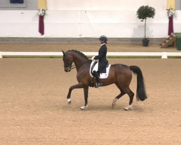 FEI Jezdecký turnaj Stadl Paura (AUT) 2026