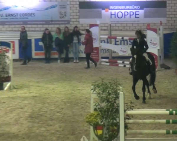 Spring-Pferde-Festival Lathen 2015