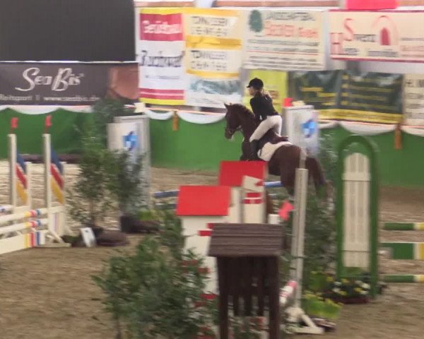 Keppelner Springpferdemeeting 2015