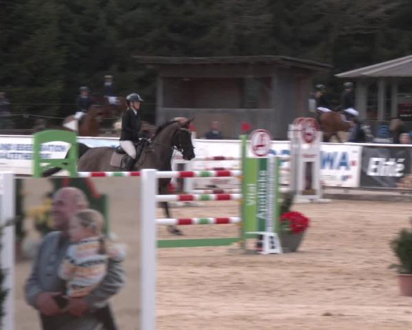 Torneio Equestre Ranshofen - Braunau am Inn 2026