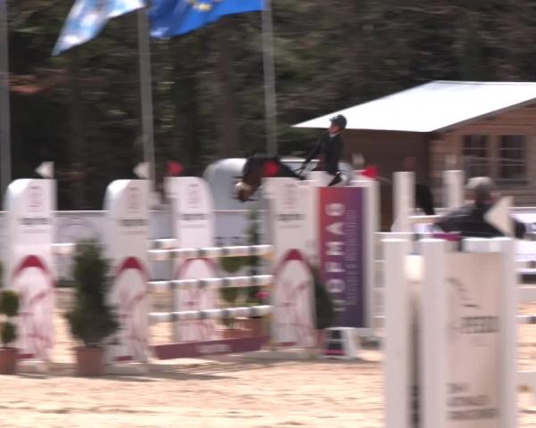 Rideturnering Ranshofen - Braunau am Inn 2026