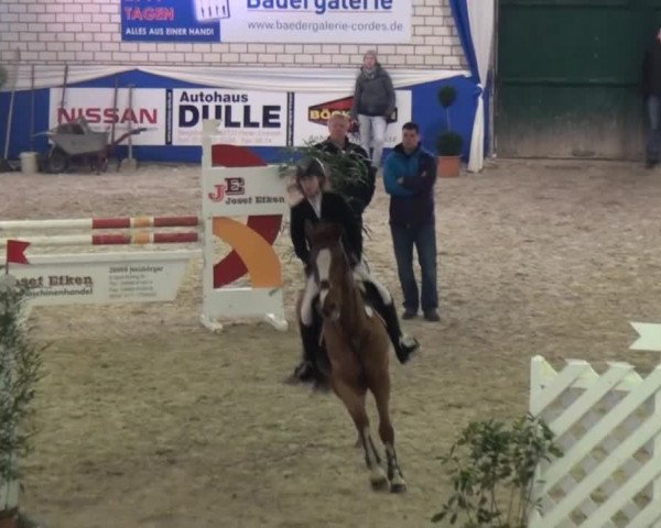 Spring-Pferde-Festival Lathen 2015