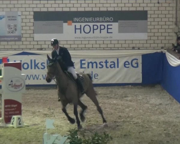Spring-Pferde-Festival Lathen 2015