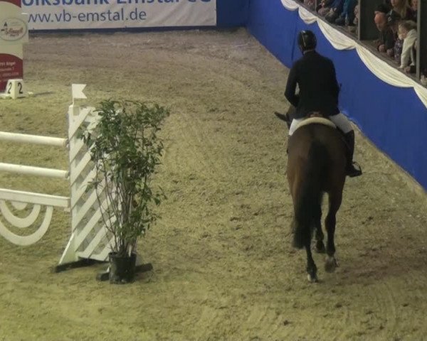 Spring-Pferde-Festival Lathen 2015