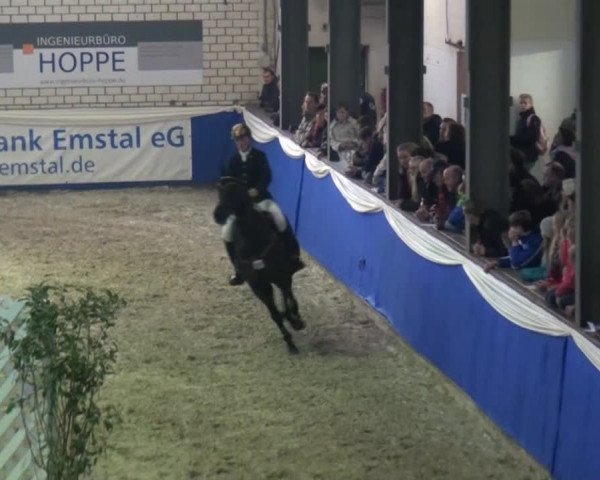 Spring-Pferde-Festival Lathen 2015