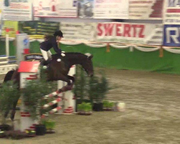 Keppelner Springpferdemeeting 2015