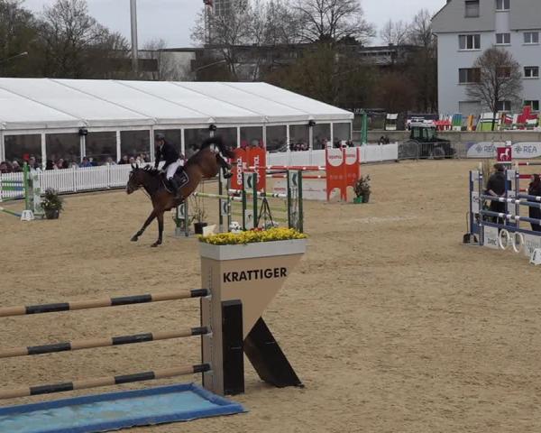 Torneio Equestre Amriswil 2026