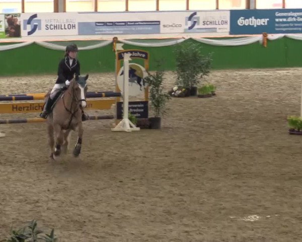 Keppelner Springpferdemeeting 2015