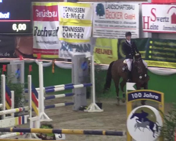 Keppelner Springpferdemeeting 2015