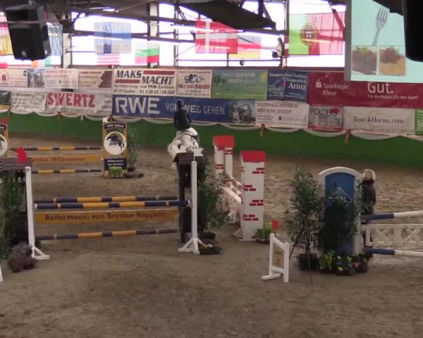 Keppelner Springpferdemeeting 2015