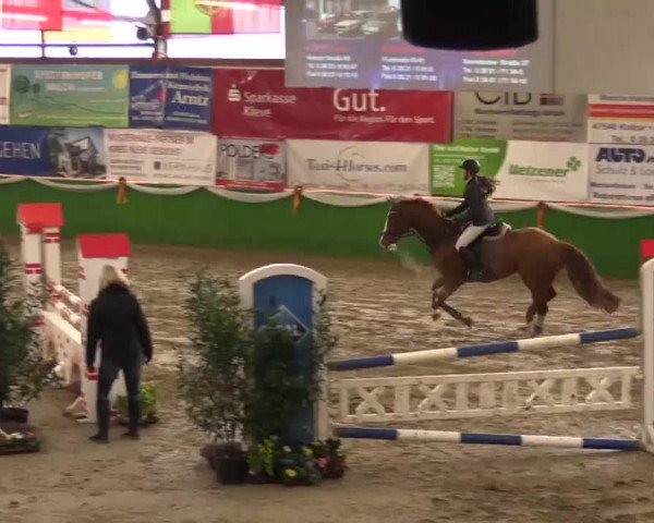 Keppelner Springpferdemeeting 2015