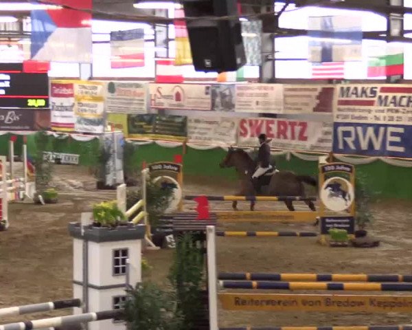Keppelner Springpferdemeeting 2015