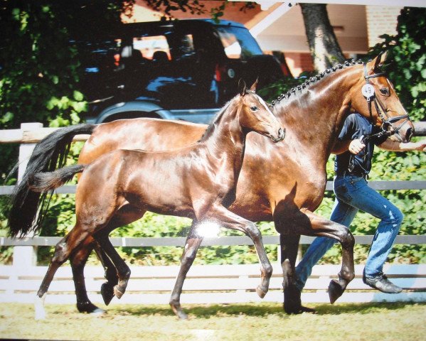broodmare Loxandra (Oldenburg, 2006, from Diamond Hit)