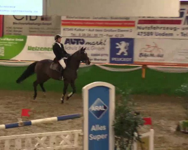 Keppelner Springpferdemeeting 2015