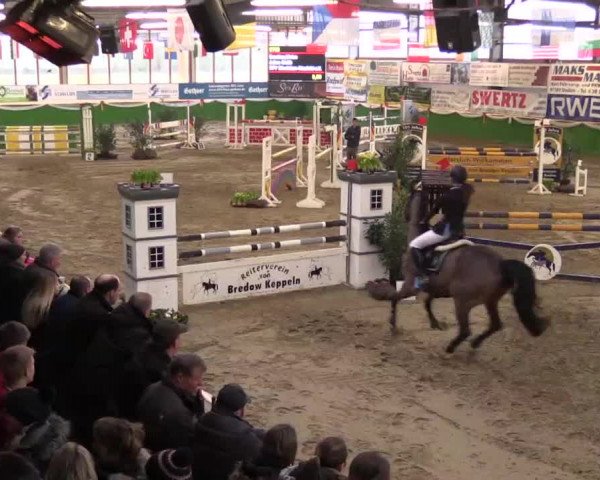 Keppelner Springpferdemeeting 2015