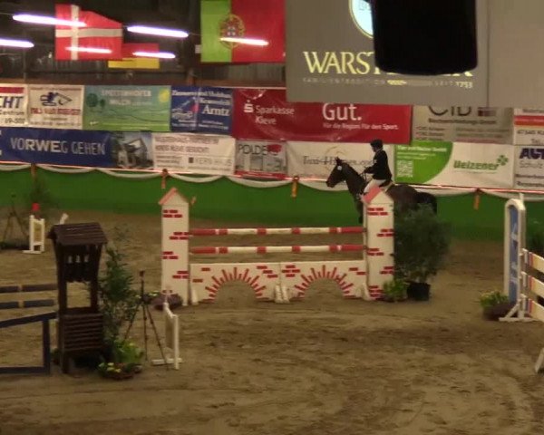 Keppelner Springpferdemeeting 2015