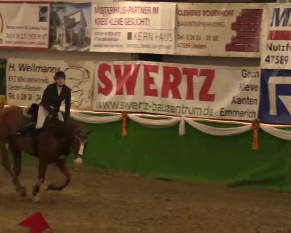 Keppelner Springpferdemeeting 2015
