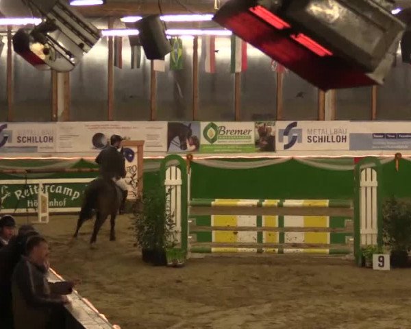 Keppelner Springpferdemeeting 2015