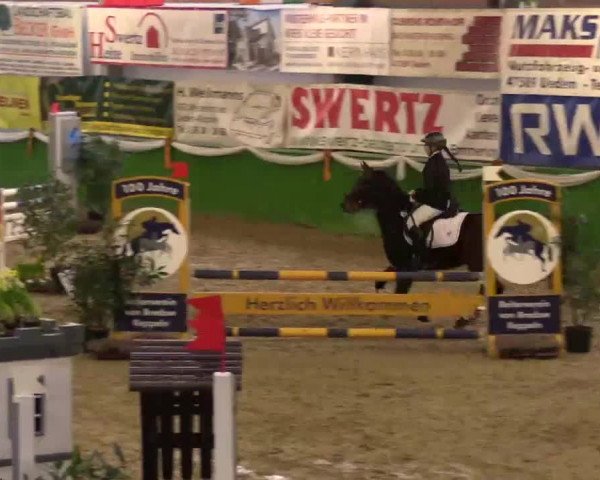 Keppelner Springpferdemeeting 2015