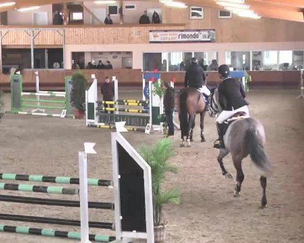 Late-Entry Dettingen 2015