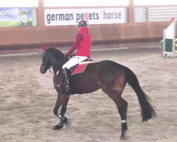 Late-Entry Dettingen 2015