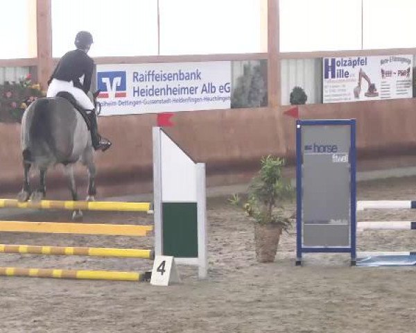 Late-Entry Dettingen 2015