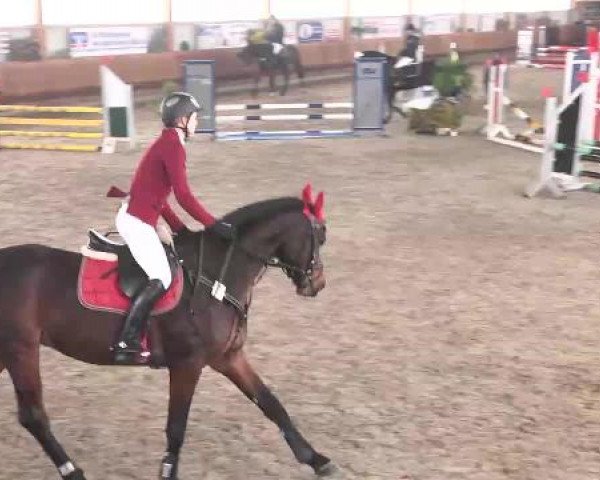 Late-Entry Dettingen 2015