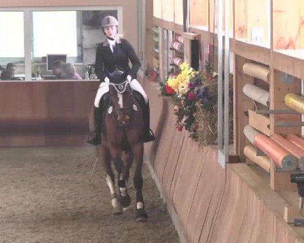 Late-Entry Dettingen 2015