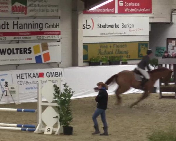 Hallenspringturnier in Borken 2015