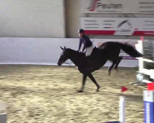 Hallenspringturnier in Borken 2015