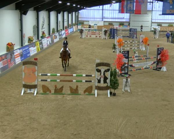 Rideturnering Borken (Hessen) 2026