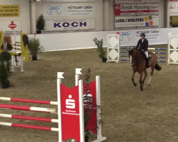 Hallenspringturnier in Borken 2015