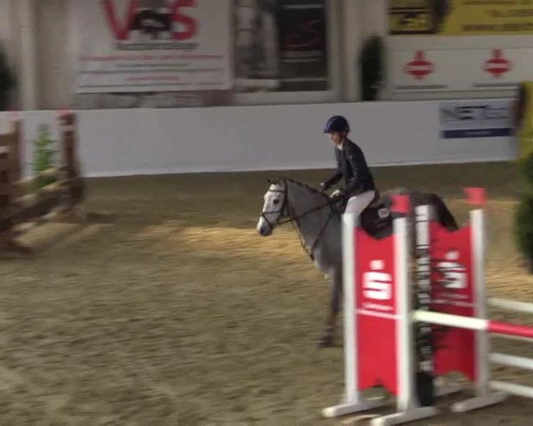 Hallenspringturnier in Borken 2015