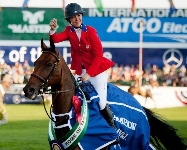 jumper Blue Angel (anglo european sporthorse, 2002, from Luidam)
