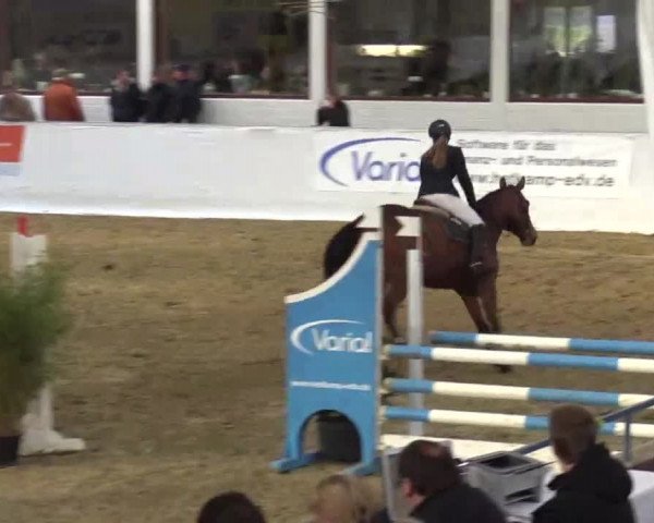 Hallenspringturnier in Borken 2015