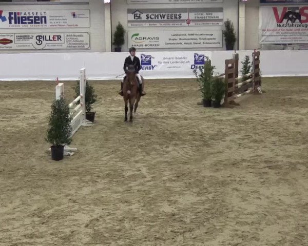 Hallenspringturnier in Borken 2015