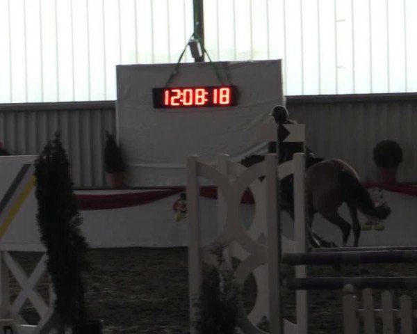 Hallenreitturnier Arnsberg-Voßwinkel 2015