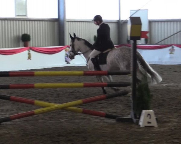 Hallenreitturnier Arnsberg-Voßwinkel 2015