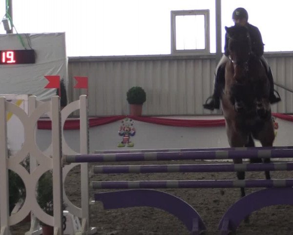 Hallenreitturnier Arnsberg-Voßwinkel 2015