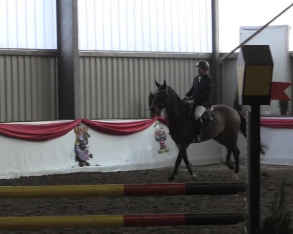 Hallenreitturnier Arnsberg-Voßwinkel 2015