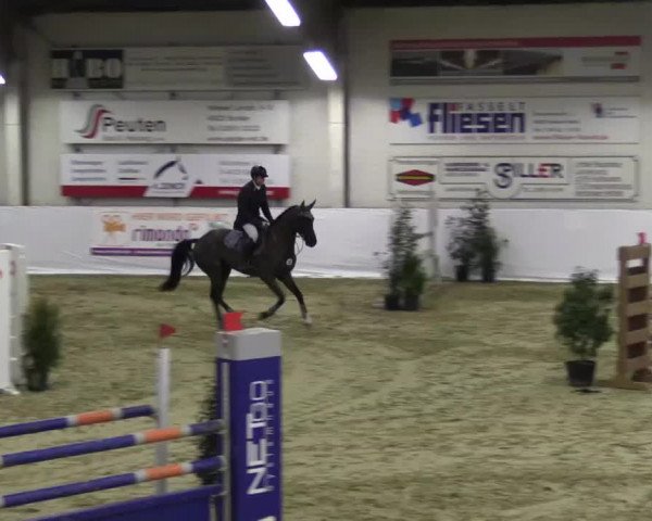 Hallenspringturnier in Borken 2015