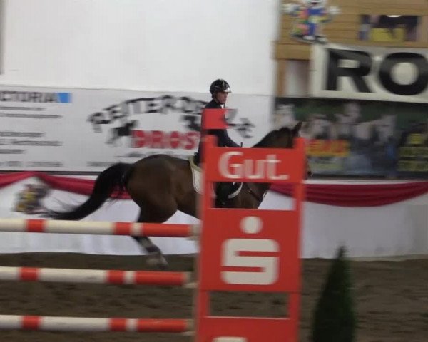 Hallenreitturnier Arnsberg-Voßwinkel 2015